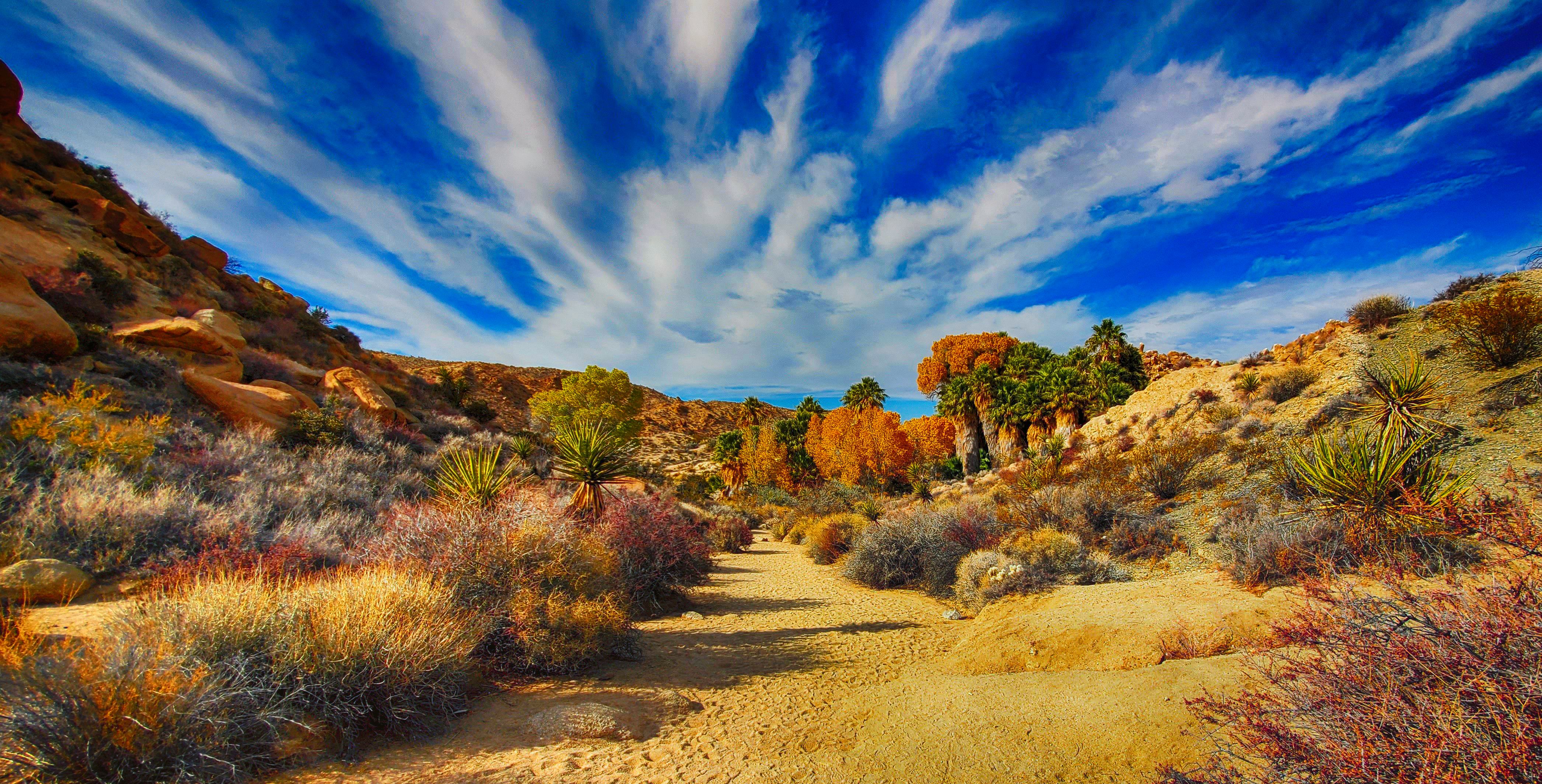 Desert Pathway